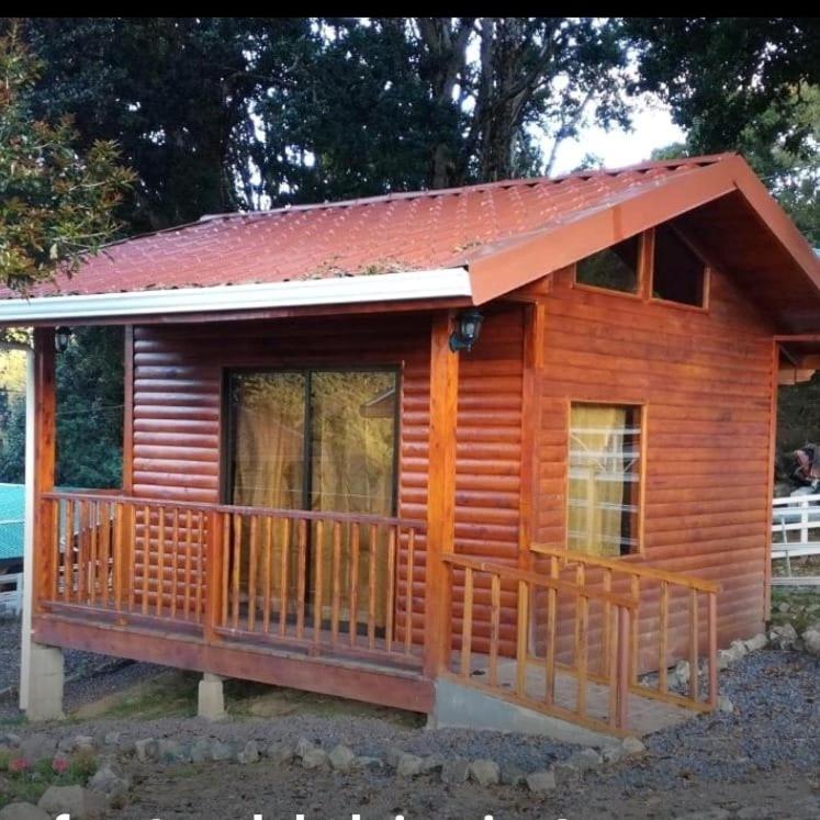 Cabanas San Gerardo San Gerardo de Dota Eksteriør billede