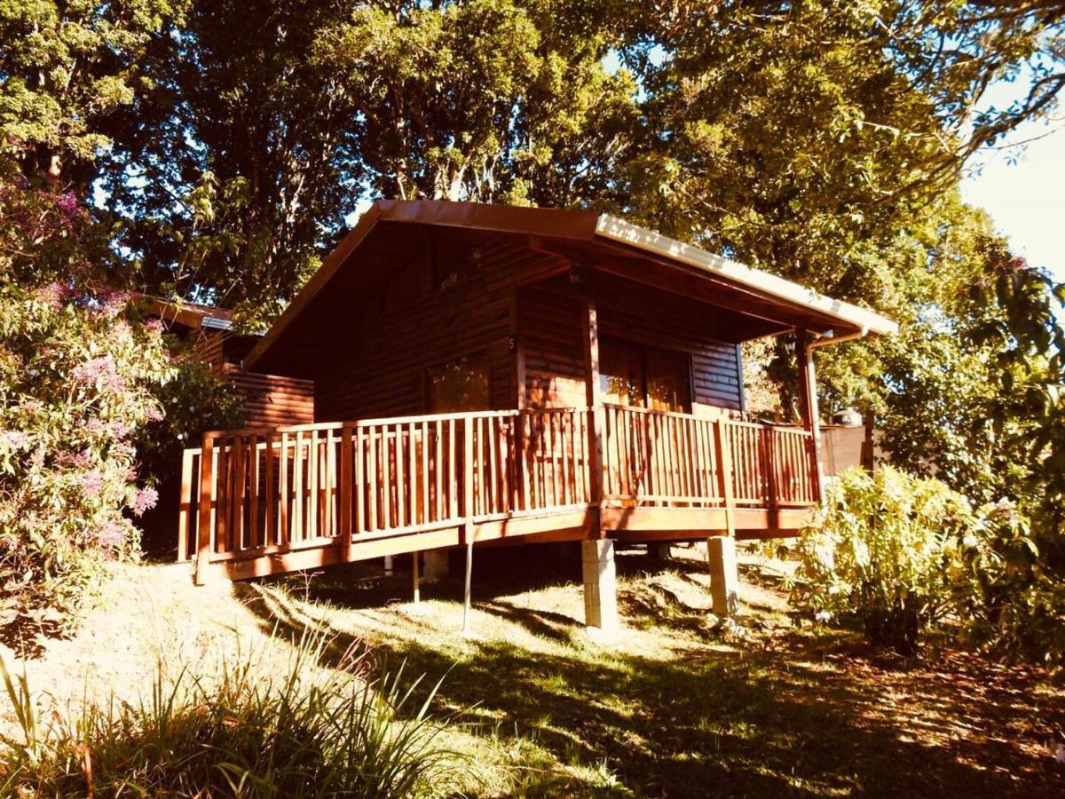 Cabanas San Gerardo San Gerardo de Dota Eksteriør billede